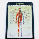 Image du produit suivant