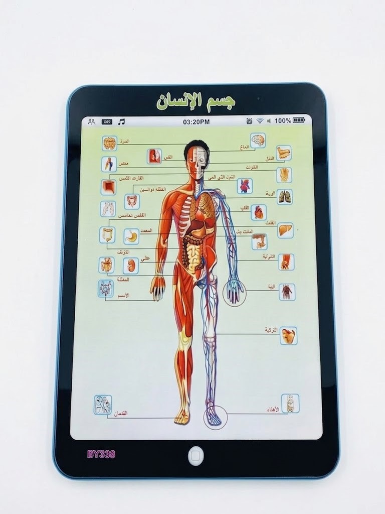 Tablette Educative Anatomie Humaine Enfant Sky Kidz 3D Arabe – Apprentissage Interactif 72 Pieces