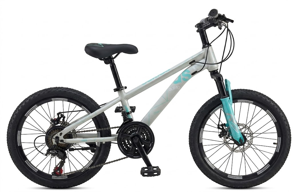 VTT Enfant Tout-Terrain 20 Pouces – Vélo Junior 5 à 6 Vitesses Freins à Disque