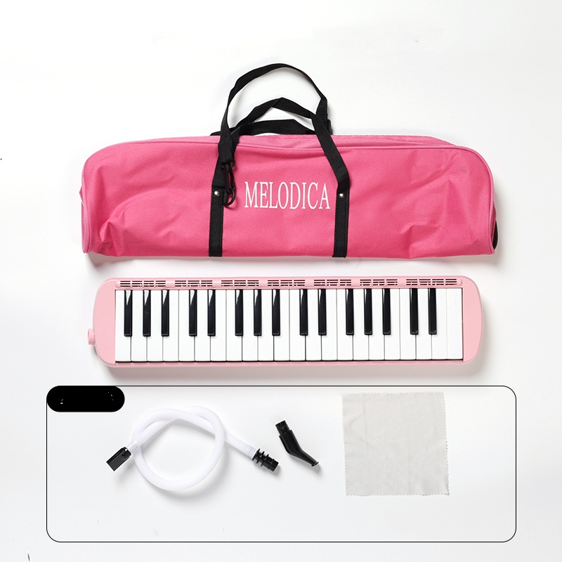 Mélodica 32 Touches Portable Débutant Étui Tube Souffle Embouchure – Instrument Musical Éducatif