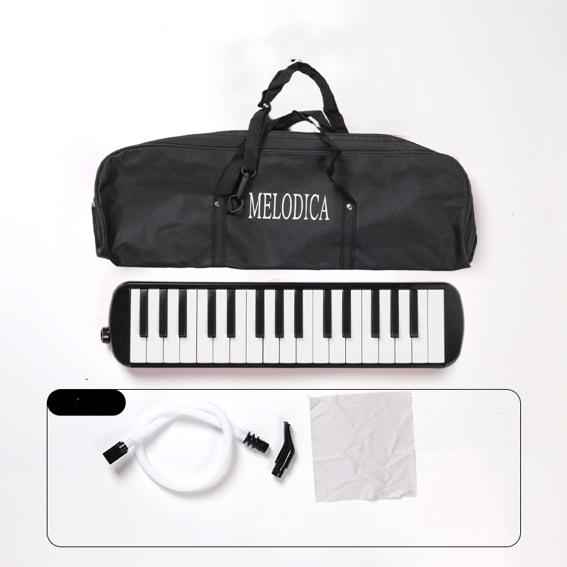 Mélodica 32 Touches Portable Débutant Étui Tube Souffle Embouchure – Instrument Musical Éducatif