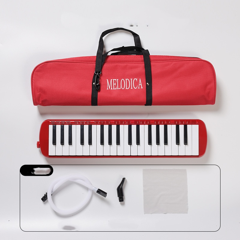Mélodica 32 Touches Portable Débutant Étui Tube Souffle Embouchure – Instrument Musical Éducatif