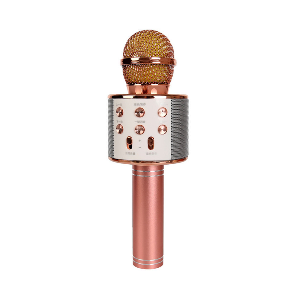 Microphone Karaoké Bluetooth Sans Fil Portable – Haut-Parleur Effets Vocaux et Enregistrement