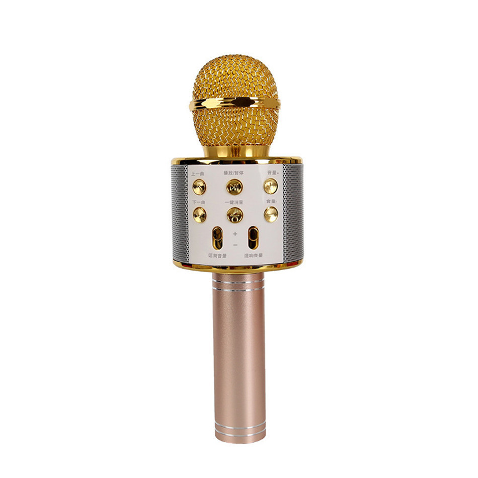 Microphone Karaoké Bluetooth Sans Fil Portable – Haut-Parleur Effets Vocaux et Enregistrement