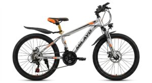 Vélo Milayo 20 Pouces Argent – Avec Freins à Disque et Garde-Boue | KQ-47
